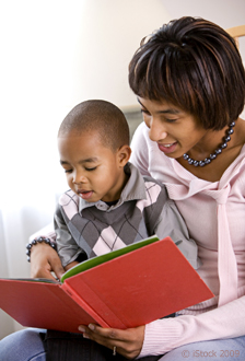 Promoting Language with Books