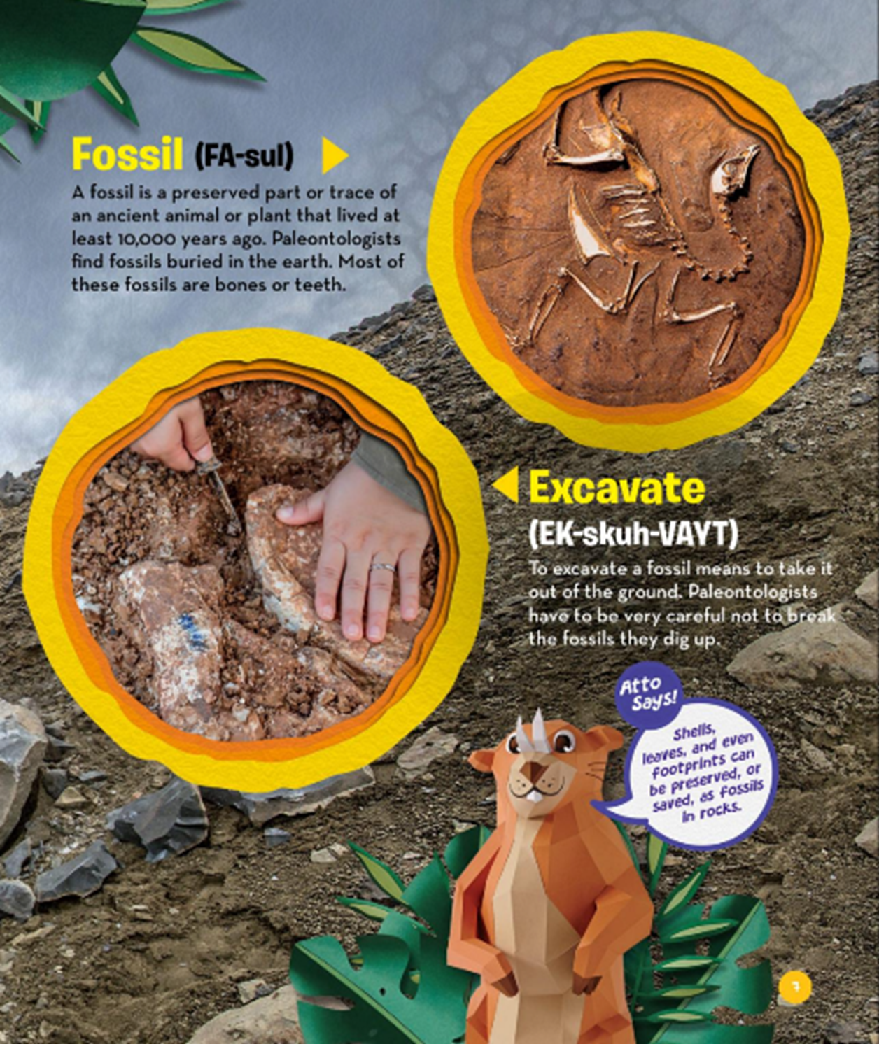 A page from the book that discusses the word fossil and the word excavate