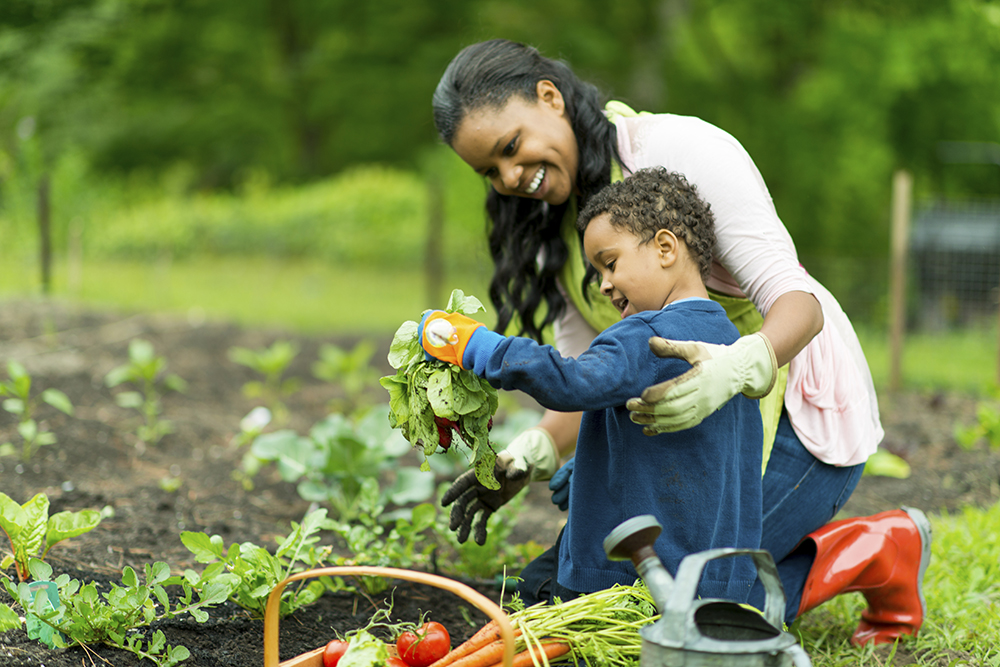 Making Sure Children Get Their Daily Dose of Language Nutrition