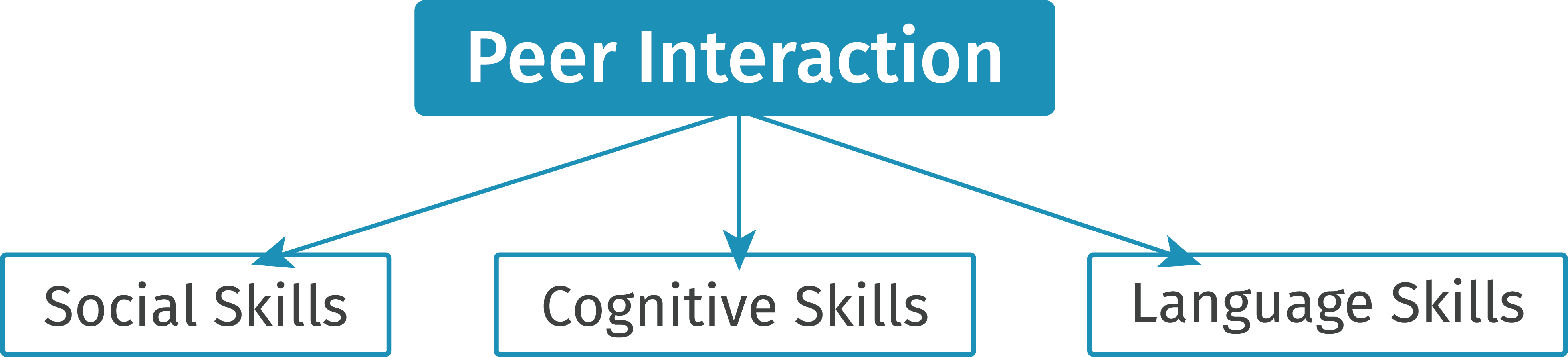 graphic showing that peer interaction is a parent of social skills, cognitive skills, and language skills